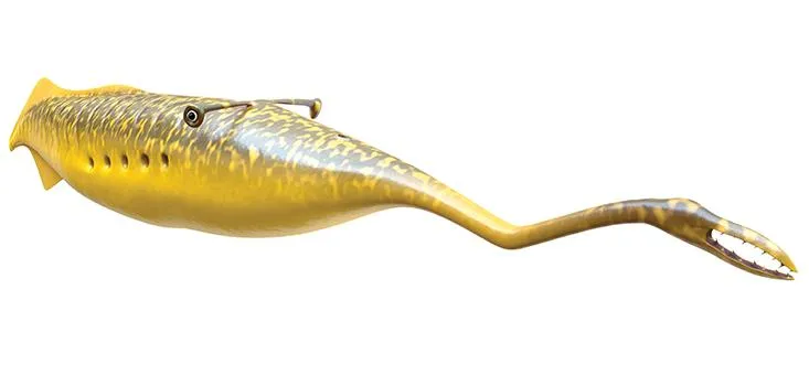 ESCONI's tweet photo. Mazon Monday #199: The Enigmatic Tully Monster (or the Lesser Orm of Mazon Creek) #fossils #paleontology #MazonMonday #MazonCreek #illinois #hagfish #statefossil #illinois #lochnessmonster #lochness #greatorm
https://t.co/61bfwbQOZ0 https://t.co/CoELhUPxVe