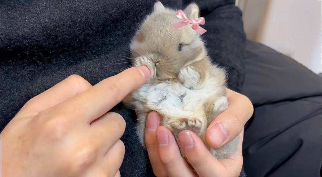 bunnieswbows's tweet photo. real pics of me https://t.co/ZaeRLI0gyO