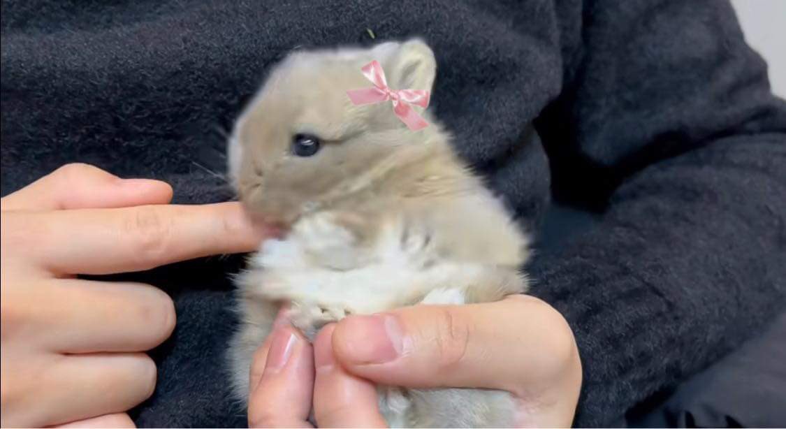 bunnieswbows's tweet photo. real pics of me https://t.co/ZaeRLI0gyO