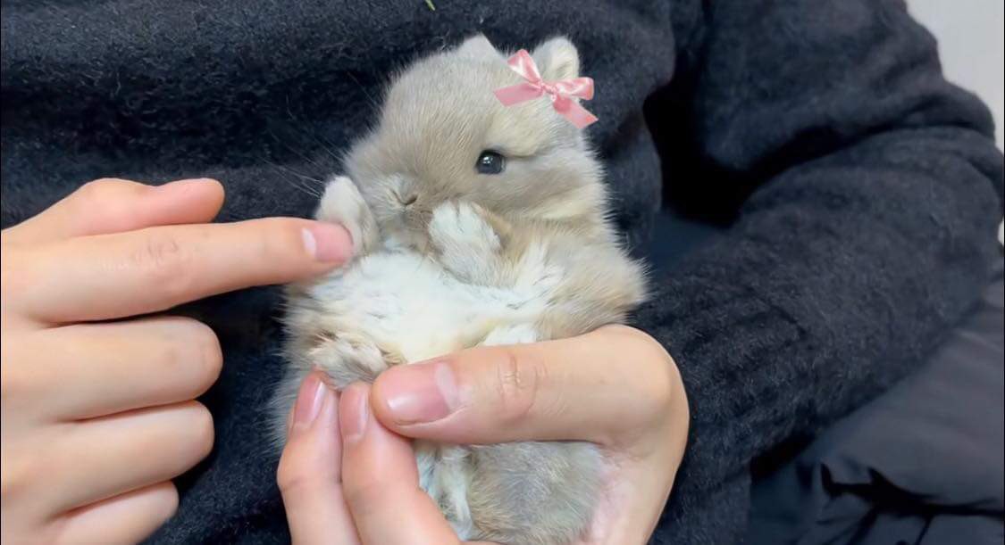 bunnieswbows's tweet photo. real pics of me https://t.co/ZaeRLI0gyO