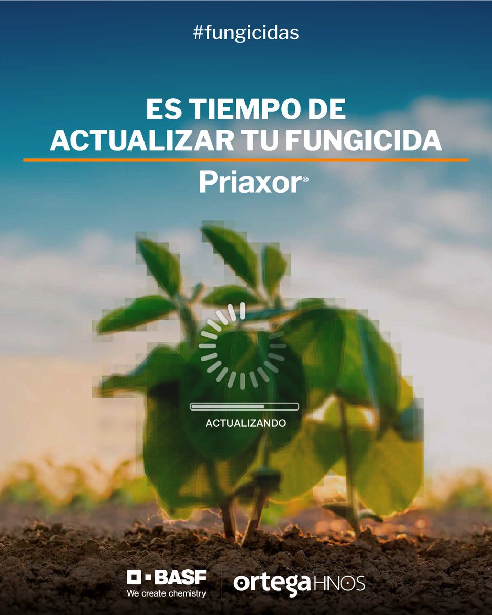 OrtegaHermanos's tweet photo. La actualización que tu fungicida necesita, la encontrás en #BASFPriaxor.

Gran espectro en el control de enfermedades:
🔸Mancha marrón
🔸Mancha ojo de rana
🔸Mancha púrpura
🔸Mancha anillada
🔸Roya Asiática

Comunicate y te cotizamos:
📲(3534) 236367
💻info@ortegahermanos.com.ar https://t.co/xuUEkTl8pu