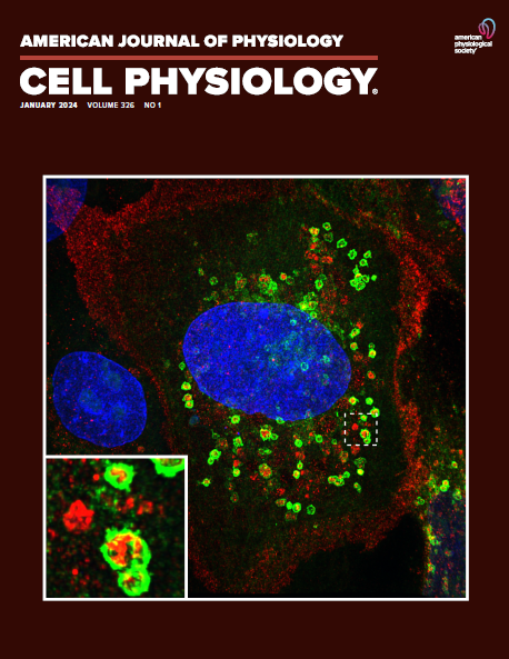 AJP-Cell Physiology (@ajpcellphys) on Twitter photo 📢 Why should you submit to #AJPCell?
🆕 Submission process is now SHORTER!
✔️Shortened submission time/fewer questions
✔️Clearer and cleaner instructions
✔️Upload supplemental materials at first submission
🖱️https://ajpcell/msubmit.net
<a href="/AJPCellPhysEIC/">Liliana Schaefer, MD</a> <a href="/APSPublications/">APS Publications</a> 📢 Why should you submit to #AJPCell?
🆕 Submission process is now SHORTER!
✔️Shortened submission time/fewer questions
✔️Clearer and cleaner instructions
✔️Upload supplemental materials at first submission
🖱️https://ajpcell/msubmit.net
<a href="/AJPCellPhysEIC/">Liliana Schaefer, MD</a> <a href="/APSPublications/">APS Publications</a>