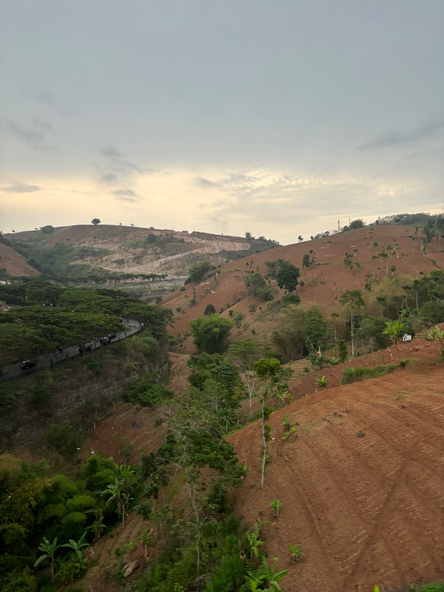 Peter S. tweet media