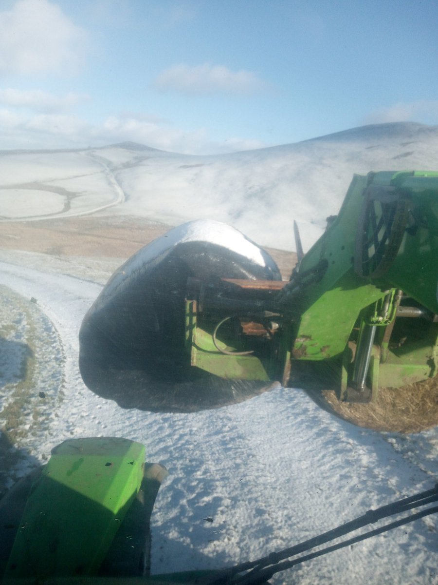 Oer heddiw ond hardd iawn hefyd . Cold today but beautiful at the same time.