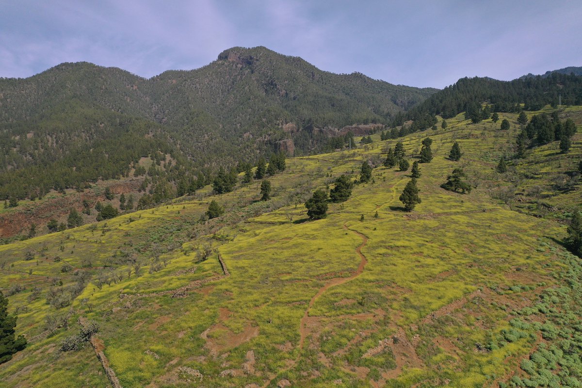 | LOCALIZACIONES ÚNICAS |

🖋 ¿Qué ocurre cuando las localizaciones son las 
 protagonistas de una historia? 🤔

 😍😍😍

La Palma es #elescenarioqueestásbuscando 💭

📸 @mediarookproductions

<a href="/LaPalmaFilm/">La Palma Film</a> <a href="/CabLaPalma/">Cabildo de La Palma</a> <a href="/visitalapalma/">Visit La Palma</a> #lapalmafilmcommission #Canarias #LaPalmaFilm