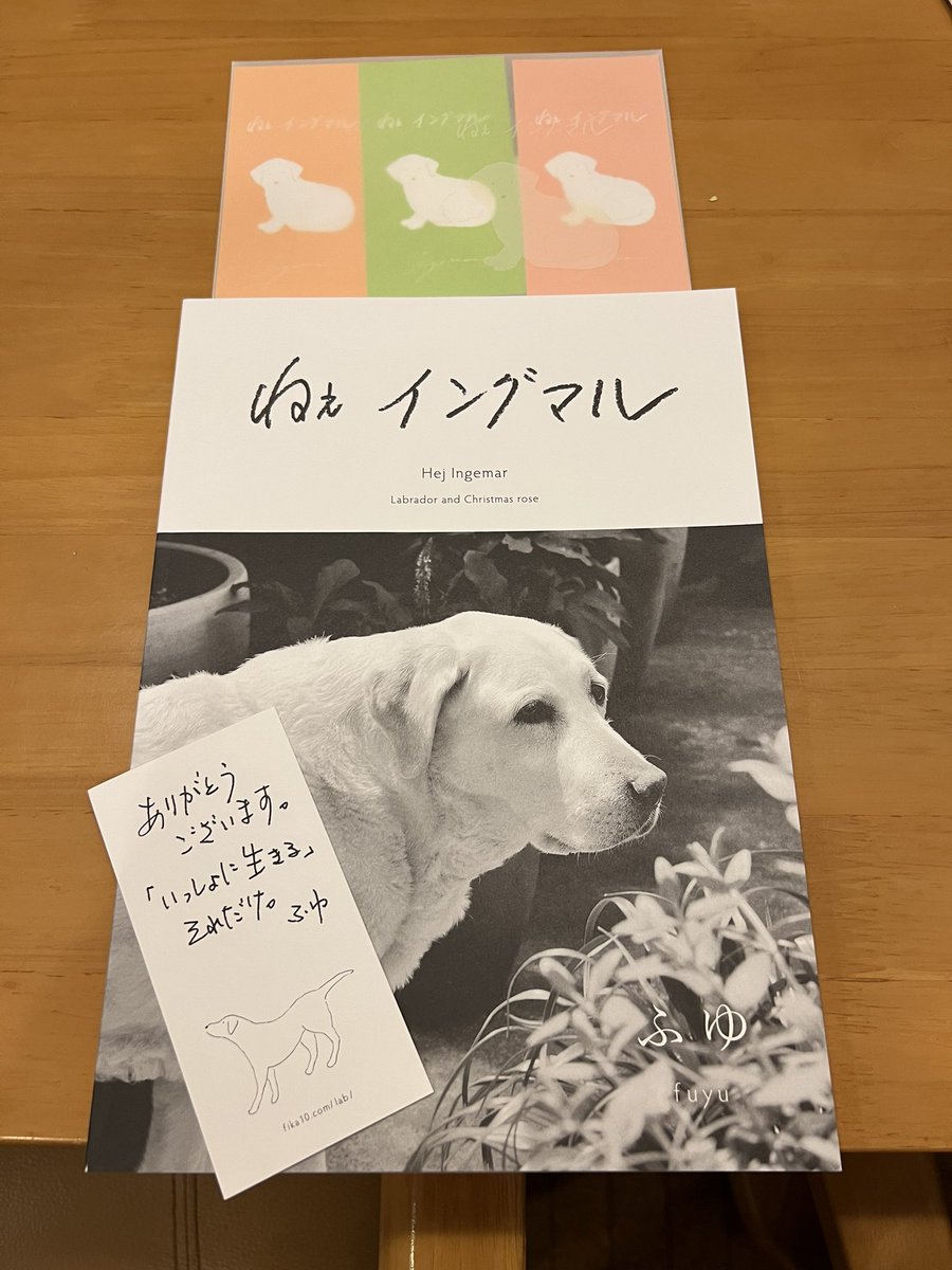 sumomo_cafe's tweet photo. @fuyu2015 ふゆさんの本が届きました。
ありがとうございます
ふゆさんの愛情が溢れている一冊
何度も何度も読んでいます
少しでも多くの方に読んで頂きたいです https://t.co/WaKaJq5ROV