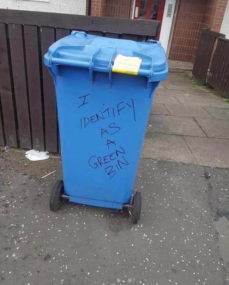 GJudith Calixto tweet media