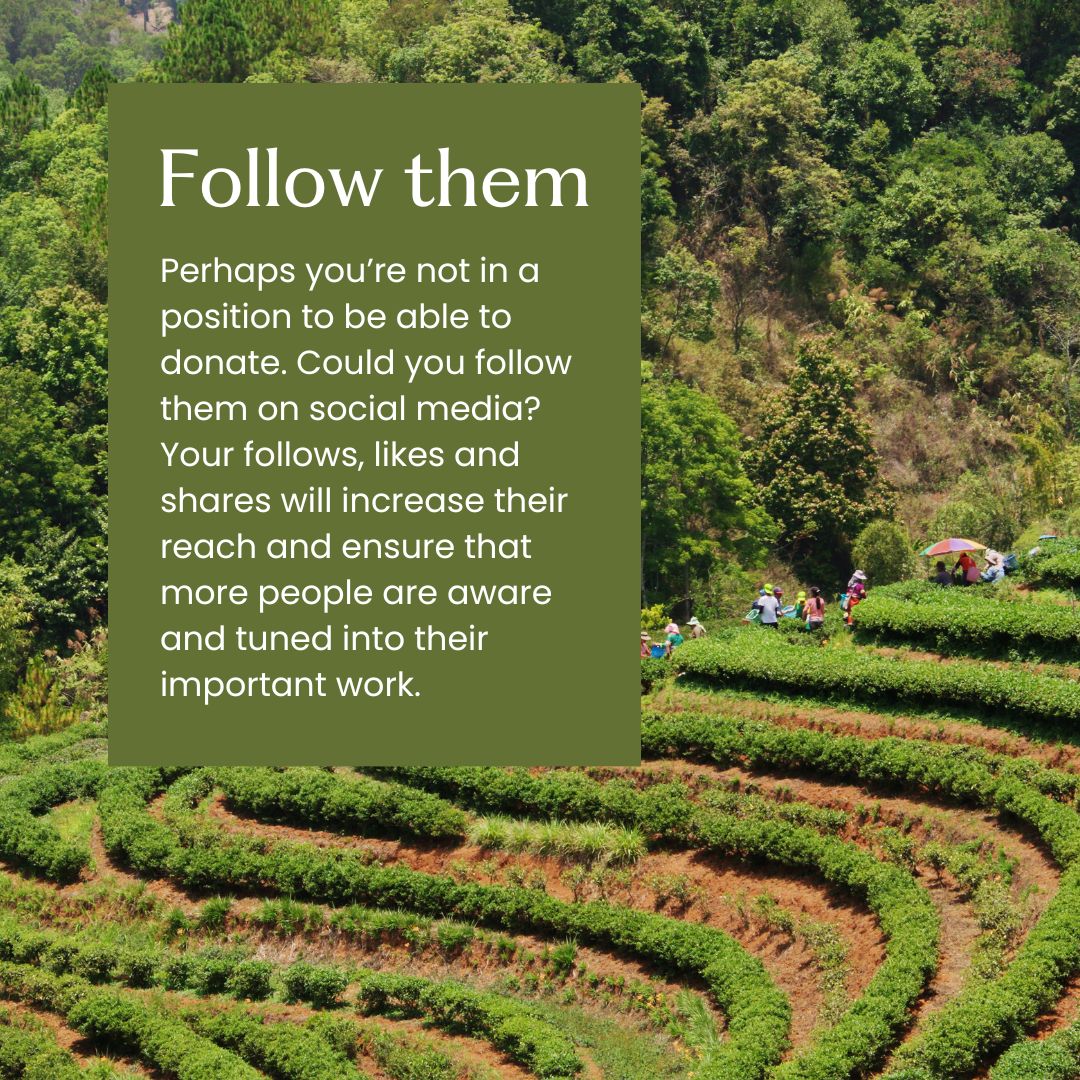 Restor_eco's tweet photo. #BlueMonday getting you down? Let's support restoration projects around the world and make this Monday GREEN! #ClimateAction #time2restor https://t.co/ImnUvGcqAf