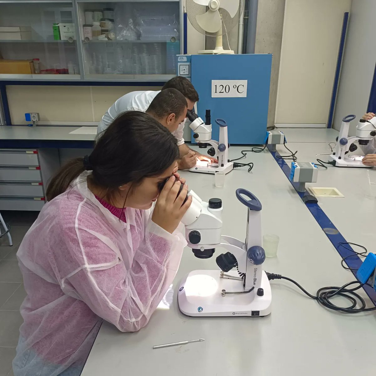 de_fyq's tweet photo. ¡Vuelta a los orígenes! Vinimos con los alumnos del @IESLomoH para hacer prácticas de laboratorio a la facultad de Ciencias del Mar. Qué recuerdos me trae mi facultad, muchos buenos momentos, hace casi 20 años ya...

#fyq #fisicayquimica #ciencias #ciencia #educacion https://t.co/YoQcXzZFJN