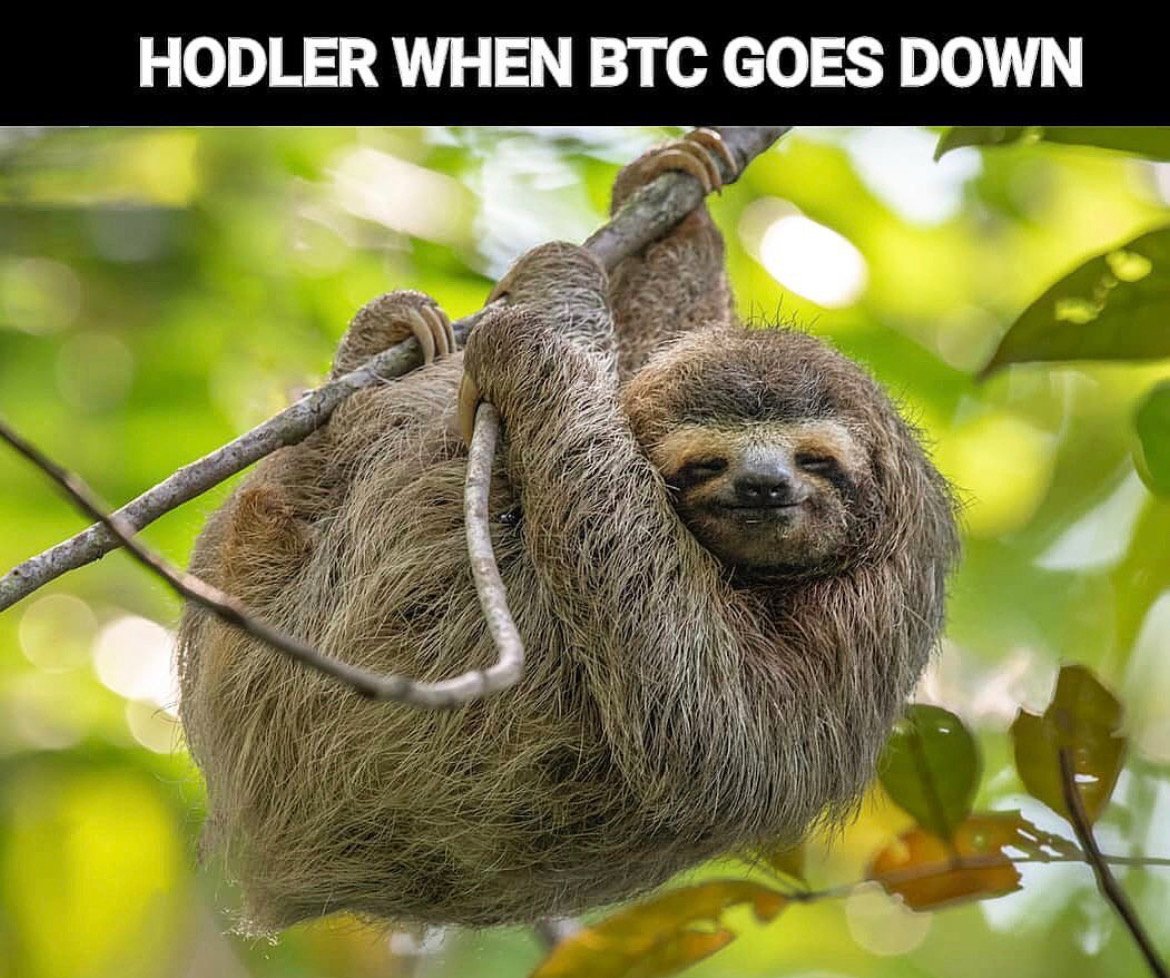 Hanging on to dear life...
#ThemCryptoFeels