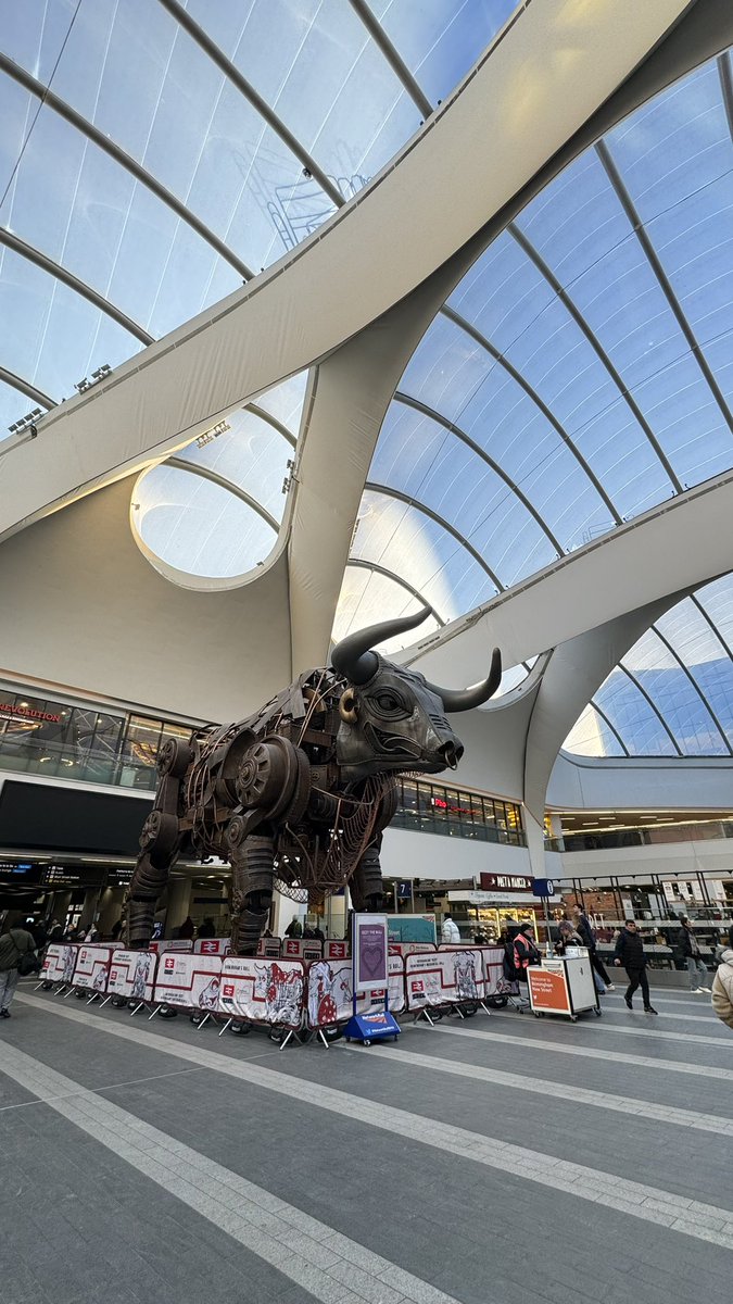 Grace Filbertine tweet media