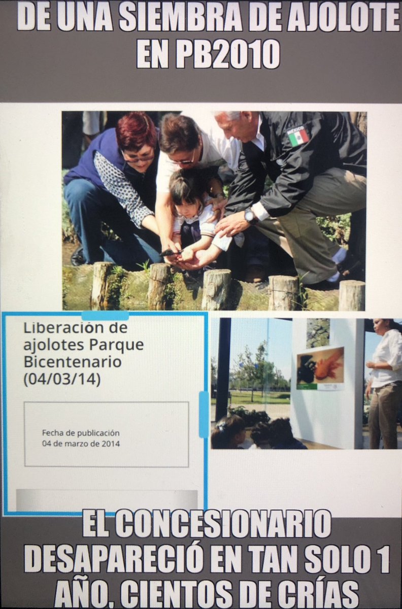 ricdunas's tweet photo. @SEDEMA_CDMX @martibatres @GobCDMX Pero en #RecuperaTuParque los dejaron morir o en términos del @GobCDMX, “están desaparecidos y por eso no podemos actuar por qué no hay cuerpo del delito”
Se fueron de “rumba” hace 5 años y no han regresado. 😂 😆 😝
Sr Pdte @lopezobrador_ ¿a quien le encomendó resolver? https://t.co/6k75YuxOPs