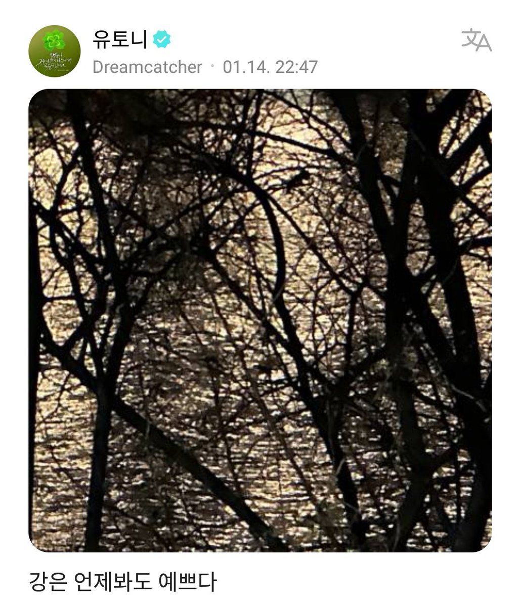 DC_Weverse's tweet photo. 230115 | #유현’s Post 

#Yoohyeon: “The river is always pretty”

@hf_dreamcatcher #Dreamcatcher #드림캐쳐 https://t.co/tqSuCNSADU