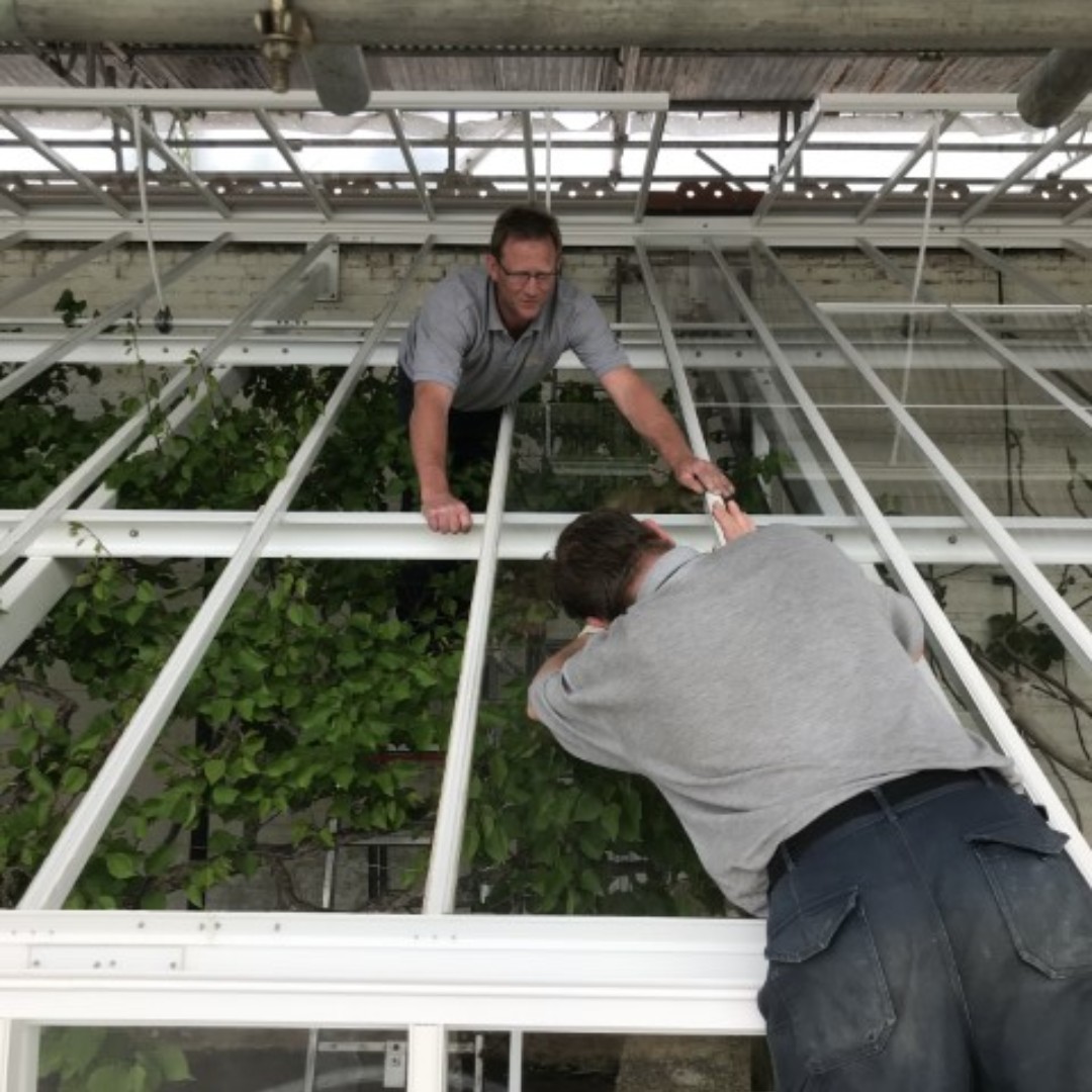 GriffinGlasshse's tweet photo. Gorgeous but dilapidated, this #vinery at Eythrope needed some urgent attention Before.
Afterwards, there's no headache worrying about everything falling around your ears - all our glasshouses come with a lifetime structural guarantee!
Speak to us:
https://t.co/zwjOIDvsGe https://t.co/YXtlR4amWJ