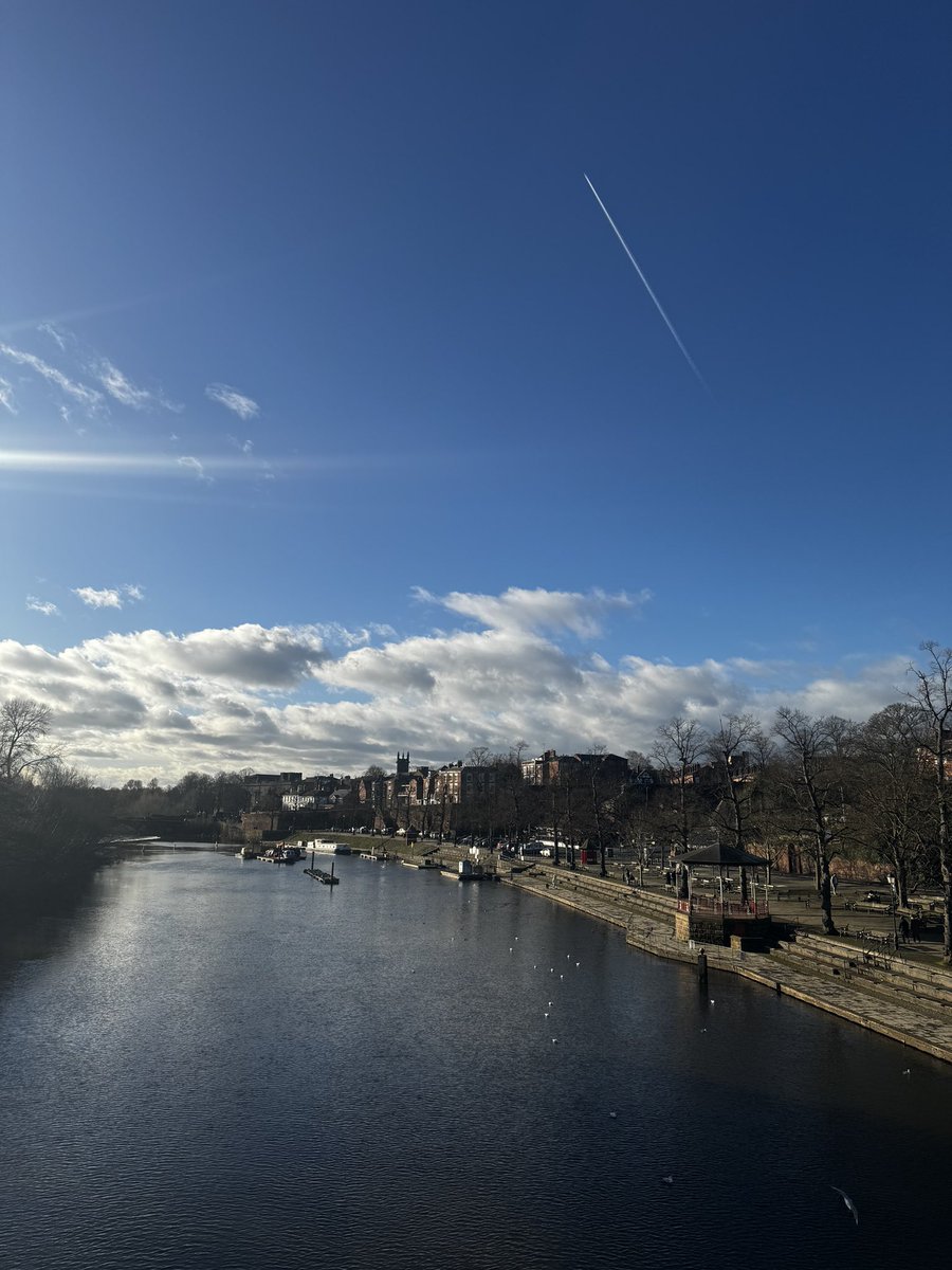 Ashlea Morgan tweet media