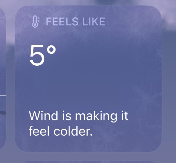 Pyro🔥 tweet media