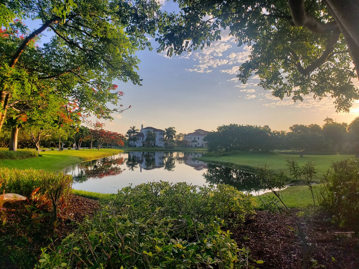 For more than 40 years, The Lake Doctors has provided a full range of aquatic management services for our valued clients. We are proud to offer you with the solutions you need to keep your lake or pond safe while looking its best! 🙌🏼☀️🌾 #lakemanagement #thelakedoctors