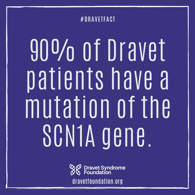 Mutations in the SCN1A gene can result in migraines and childhood epilepsy to more profound and persistent epilepsy syndromes. Dravet syndrome is at the severe end of the spectrum. 🦋 To learn more about Dravet syndrome and the SCN1A gene, visit bit.ly/4ahLtYW.