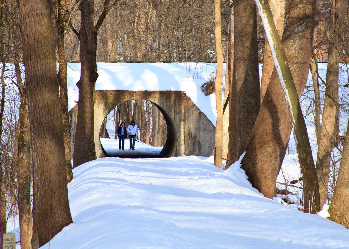 A little bit of snow and cold never hurt anybody and it doesn't have to stop you from getting on the trail! Use this season to try winter hiking, snow shoeing or cross-country skiing!
📍Deep Lock Quarry, Peninsula / Photo by Tim Fitzwater