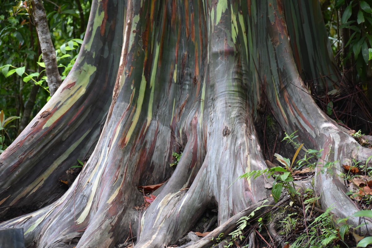 Sorelle Baldwin tweet media