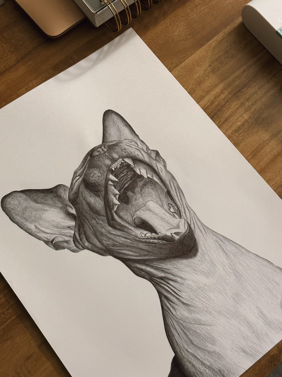 vulgariity's tweet photo. wow I’m good maybe I should be an artist

IG: ellewjames https://t.co/F2oBQEUpAO