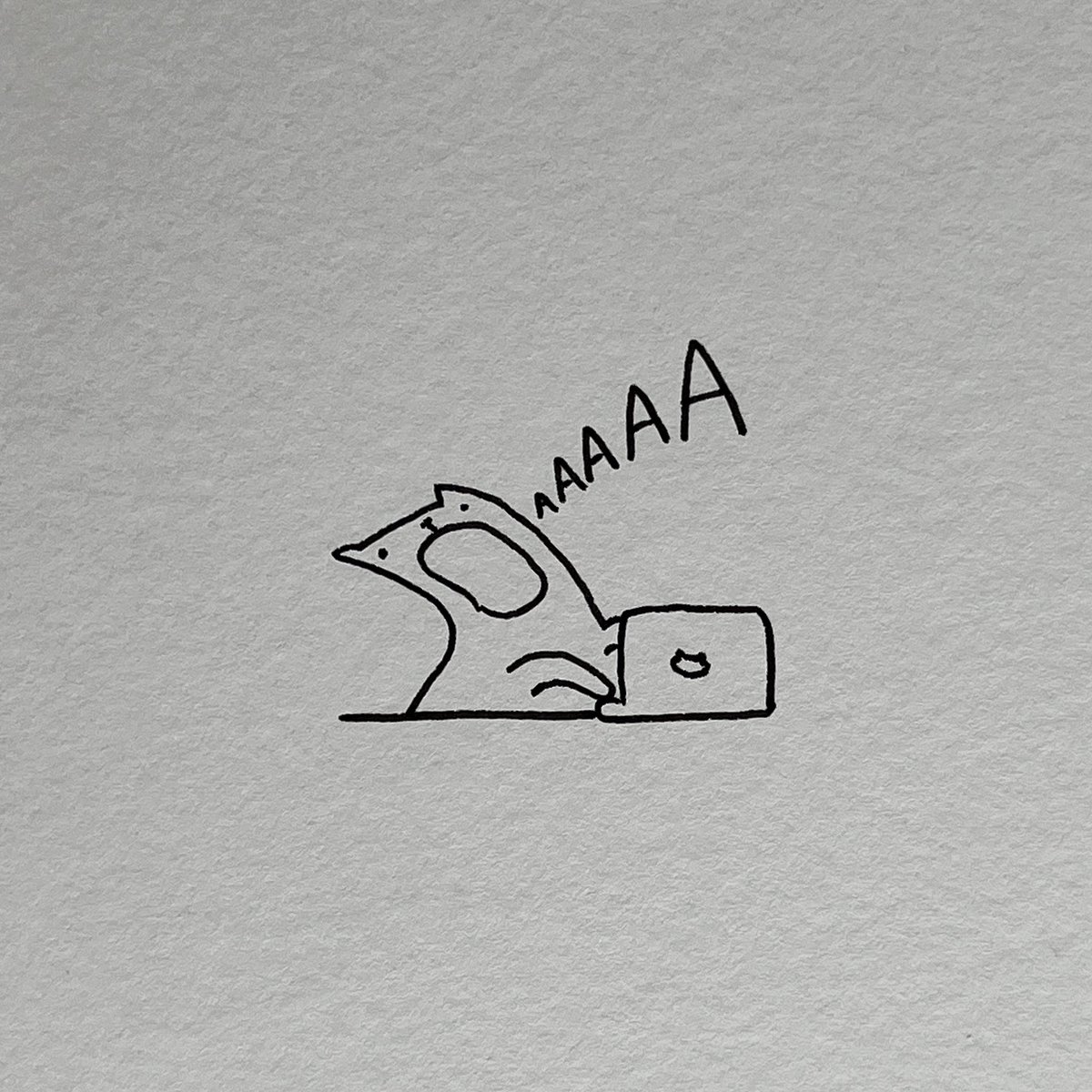 poorly drawn cats tweet media