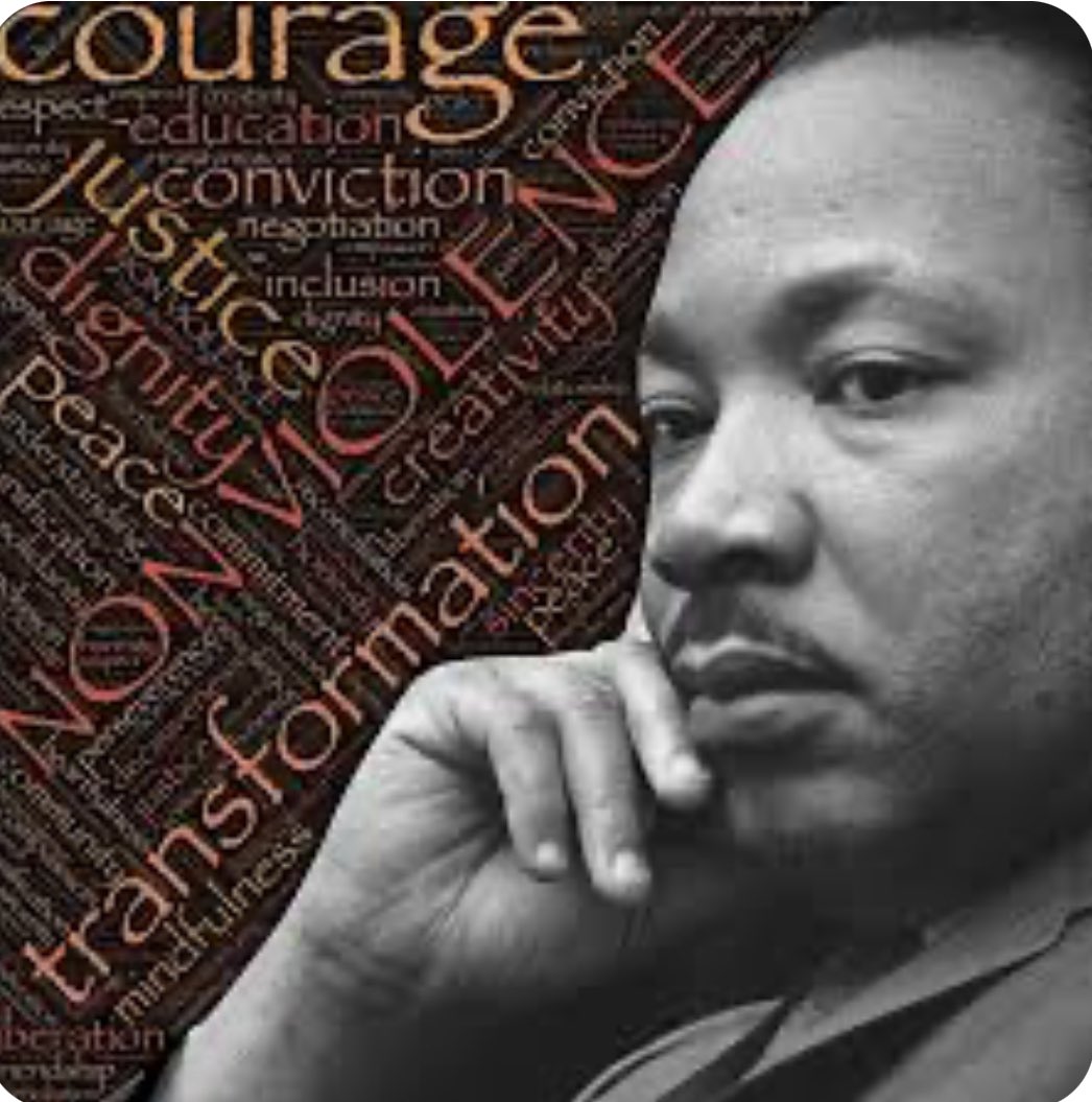 Row Row Row tweet media