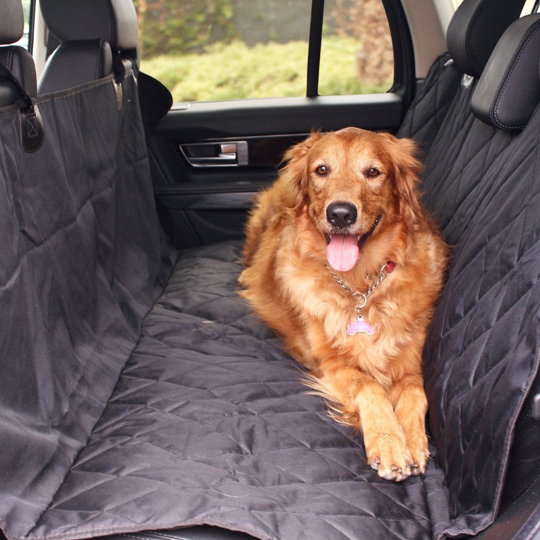 PawOriginal's tweet photo. Hit the road with style and peace of mind! Our PupProtector™ Car Seat Cover keeps your car clean and your pup comfy, no matter where your adventures take you. 🚗🐾
#RoadTripReady #PupProtector https://t.co/8i10havKPA