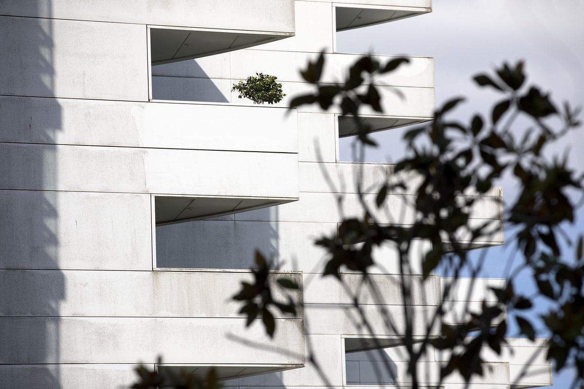 Xunta's tweet photo. 🏘 Aberto o prazo para solicitar as axudas ao alugueiro, cun orzamento de 20 M€

➡️Pode cubrir ata o 60 % da renda mensual no caso de determinados colectivos con especiais dificultades para acceder a un fogar

ℹ️ https://t.co/eHewJltibg https://t.co/lF7Yh0aYRJ