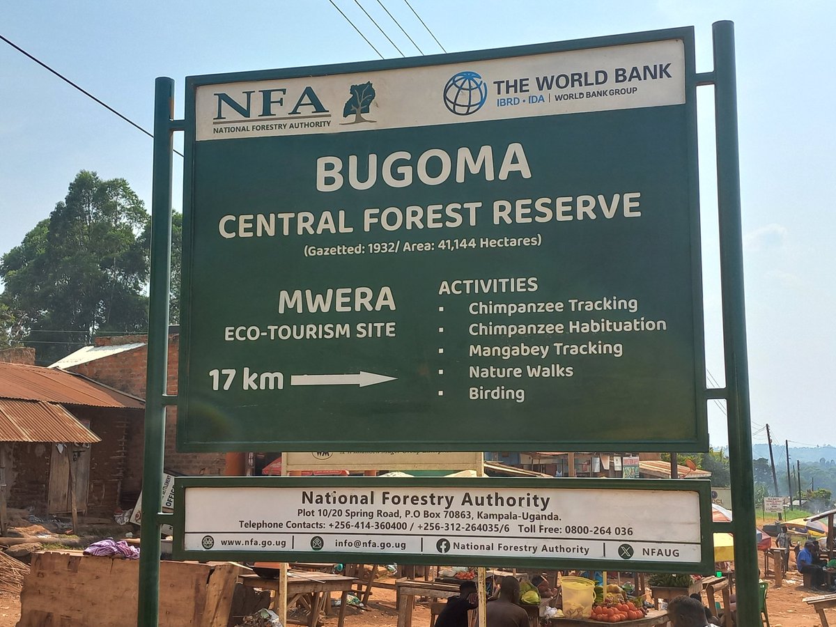 Well done @WorldBank and @NFAUG but is true we have Chimpanzee tracking and Chimpanzees habituation in Bugoma Forest? #Bugoma4Tourism