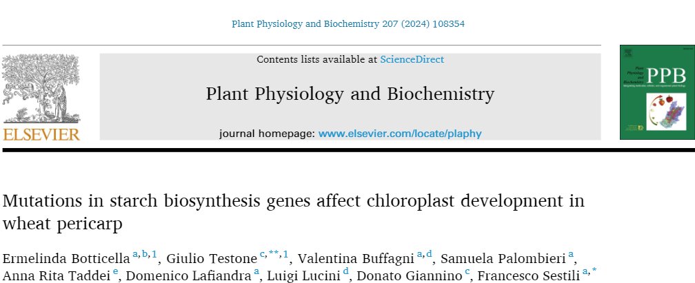 Thrilled to share our recent work! Dive into the details here: sciencedirect.com/science/articl… #WheatGenetics #StarchMutations