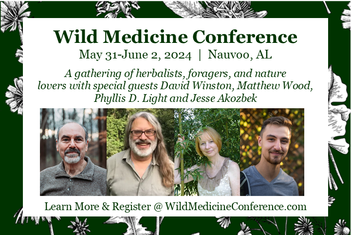 feralforaging's tweet photo. I am so excited to announce that I’ll be one of the presenters for the Wild Medicine Conference this year on the weekend of May 31 at the beautiful venue of Camp McDowell, and I am HONORED to be among an all-star lineup of teachers! https://t.co/AxMxlj4UR2
