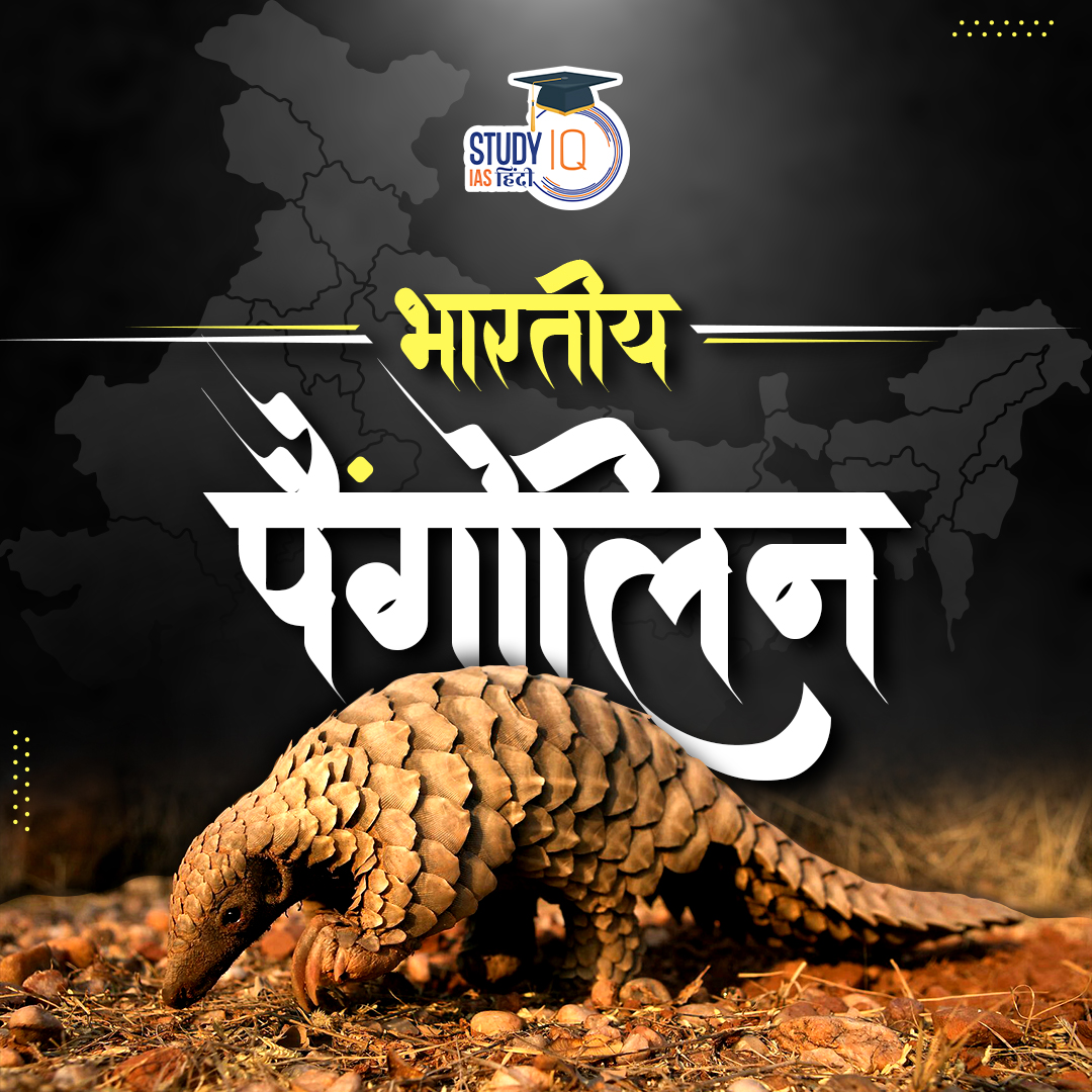 upsciq's tweet photo. Indian Pangolin
#Leprosy #NLEP #NationalLeprosyEradicationProgramme #India #UPSCPRE2024 #IAS #IASPRE #UPSC #IASPRE #UPSC #UPSC #IAS #IASPRE #UPSC #currentaffairs #news #STUDYIQ #UPSC2024 #UPSCPRE2025 #IAS #IASPRE #UPSC https://t.co/abyvA6bfTF