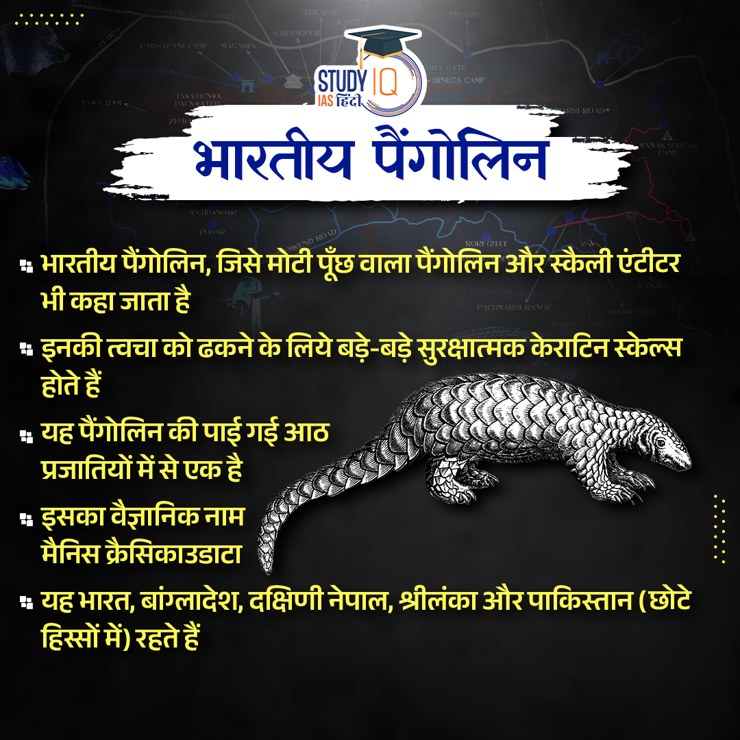 upsciq's tweet photo. Indian Pangolin
#Leprosy #NLEP #NationalLeprosyEradicationProgramme #India #UPSCPRE2024 #IAS #IASPRE #UPSC #IASPRE #UPSC #UPSC #IAS #IASPRE #UPSC #currentaffairs #news #STUDYIQ #UPSC2024 #UPSCPRE2025 #IAS #IASPRE #UPSC https://t.co/abyvA6bfTF