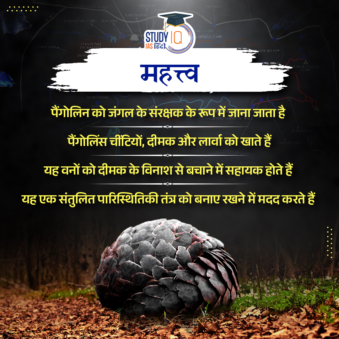 upsciq's tweet photo. Indian Pangolin
#Leprosy #NLEP #NationalLeprosyEradicationProgramme #India #UPSCPRE2024 #IAS #IASPRE #UPSC #IASPRE #UPSC #UPSC #IAS #IASPRE #UPSC #currentaffairs #news #STUDYIQ #UPSC2024 #UPSCPRE2025 #IAS #IASPRE #UPSC https://t.co/abyvA6bfTF