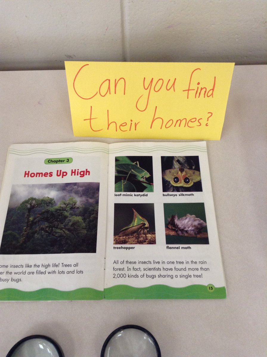 ElmridgeSap's tweet photo. Children’s critical-thinking skills and fine-motor skills have developed to the point where they can start using simple tools. Magnifying glasses help kids see things they’ve never seen before, like small insects and their homes or rocks and shells. It opens up a whole new world. https://t.co/f2DtI86Pia