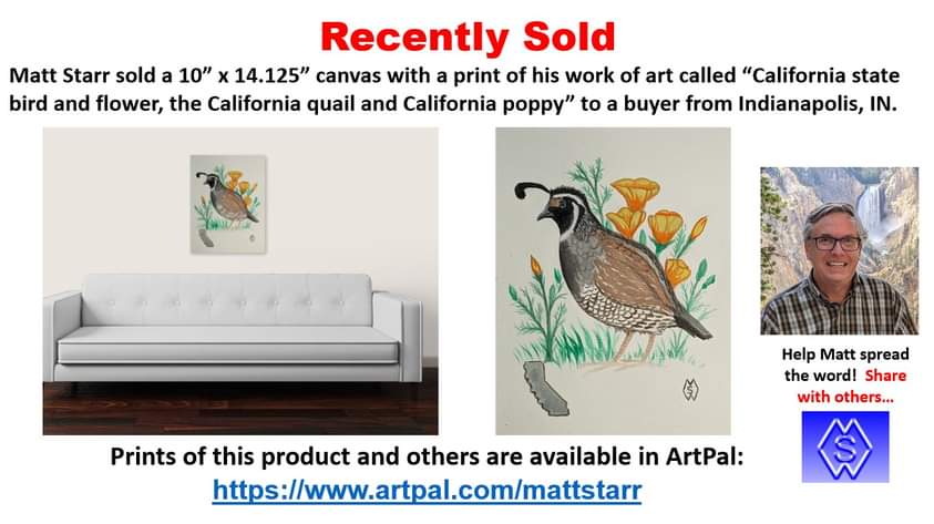 MattStarrFineA1's tweet photo. I recently sold a 10” x 14.125” canvas with a print of my work of art called “California state bird and flower the California Quail and poppy” to a buyer from Indianapolis.  https://t.co/gjcNRtFvcI
#mattstarrfineart #artpal #Califorinia #bird #quail #flower #poppy #poppies #LA https://t.co/Wd8oys1ObN