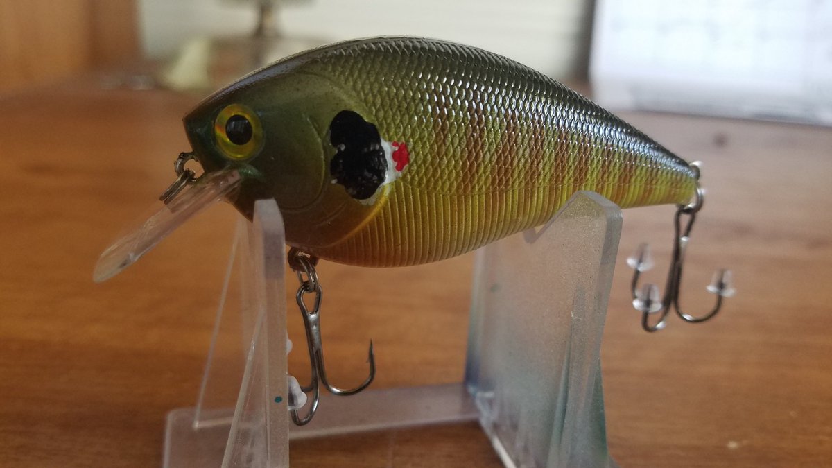 douglaskamp's tweet photo. A couple new custom painted Crankbait patterns painted by me in the booth. Contact us for more information on our baits. https://t.co/XIvrtlZC59