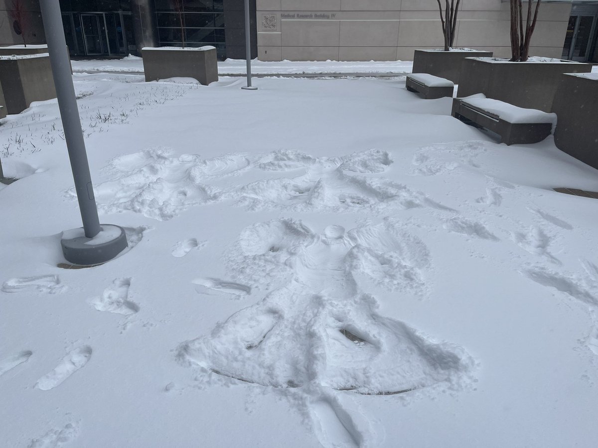 Multidisciplinary Transplant Angels. #campaignforfellowoftheyear