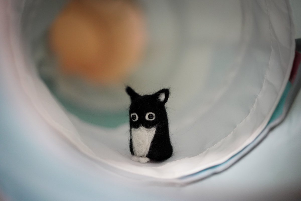 unicouniuni3's tweet photo. I wanted to make cute uni, so I tried needle felting for the first time.

I need some comfort…
（Yes, I’m so so clumsy…） https://t.co/7juX1nqSwr