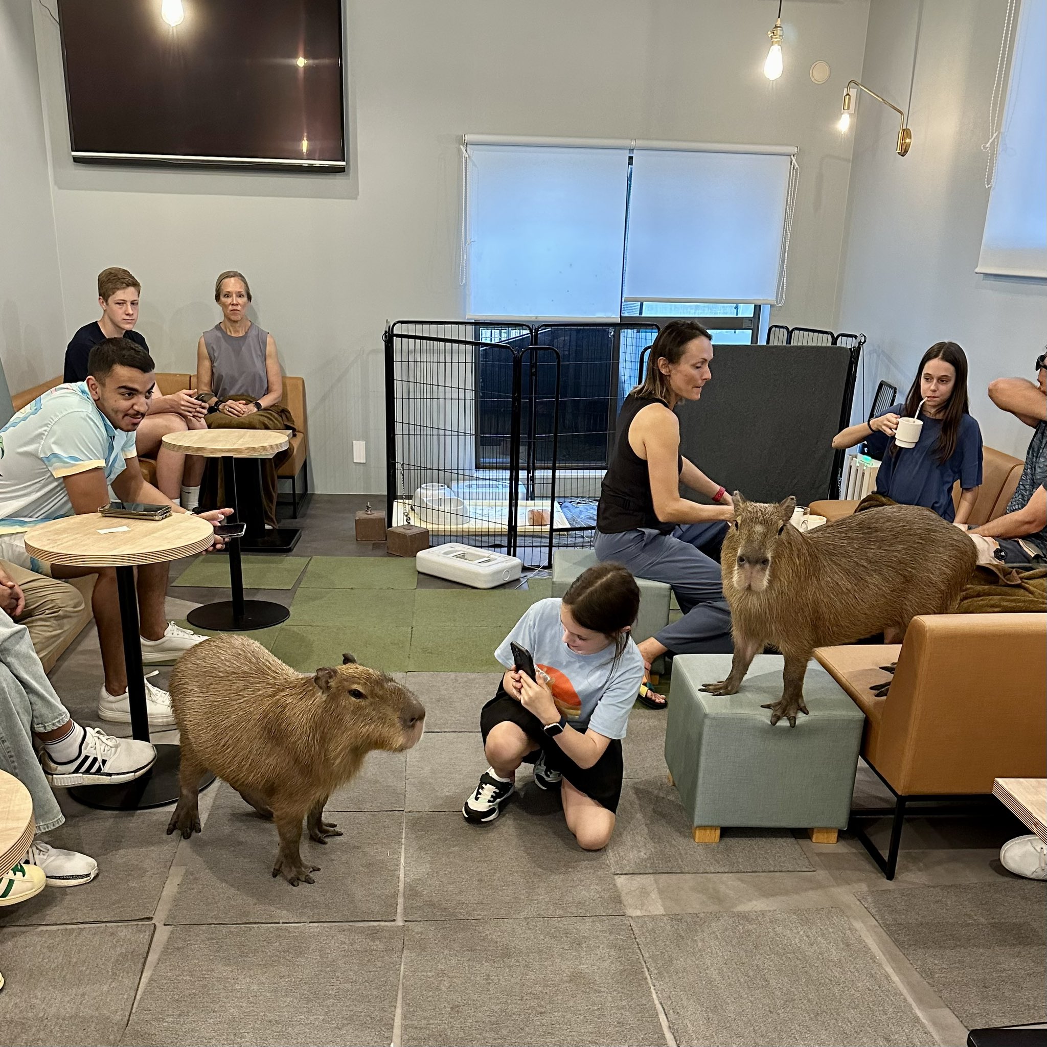 GD48WH0WwAArY8c.jpg:large