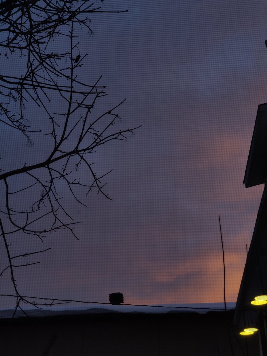 730 a.m. in Ottawa 🌄

As you begin your day, remember there are always places to turn to if you're struggling to keep your head above water.

Resources (share widely):
National Helpline 9-8-8 (call/text)
<a href="/ysb_bsj/">Youth Services Bureau</a> 
<a href="/DistressCentreO/">DistressCentreOttawa</a>
<a href="/CounsellingConx/">Counselling Connect | Counseling on connecte</a> 
<a href="/KidsHelpPhone/">Kids Help Phone</a> 

#MentalHealth