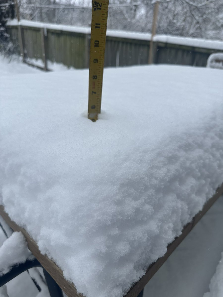 bmckayd's tweet photo. @NashSevereWx North Nashville/Germantown https://t.co/YM13NYMmHc