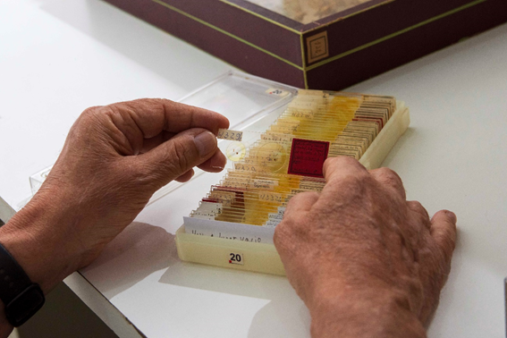 unlp's tweet photo. El inventario realizado por el #ILPLA y el #CEPAVE usó la colección del @museodelaplata. Tiene todas las especies reportadas en Argentina y su ubicación. Y permite estudiar cambios en el comportamiento por el #cambioclimatico. https://t.co/IR1WywXEeE