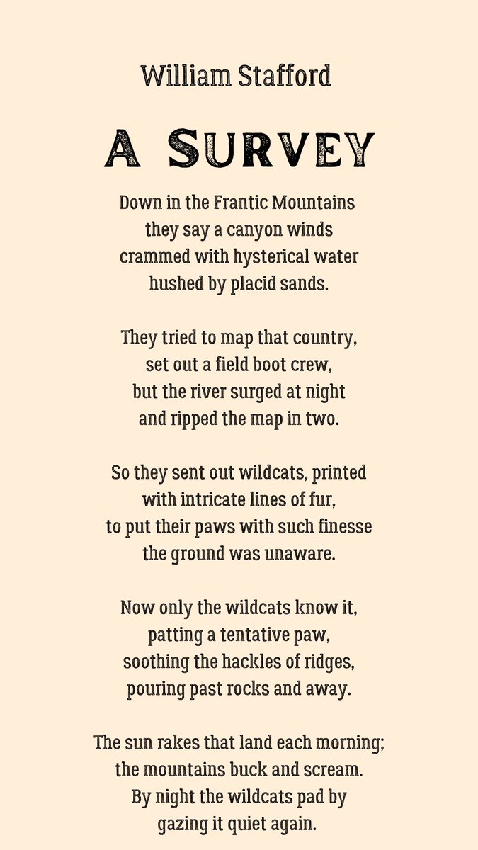 Poetry_Day_9's tweet photo. William Stafford 

#poetrycommunity #PoetryShare #Poetry #poetrylovers #poetrytwitter #poetrybook #poet #POEMS #twitterpoem #twitterpoetry #writing #WritingLife #writerslift #WritingCommunity #BookTwitter #booktwt #ASurvey #booktwt #books #Reading #WilliamStafford https://t.co/L1sOIXeFNG