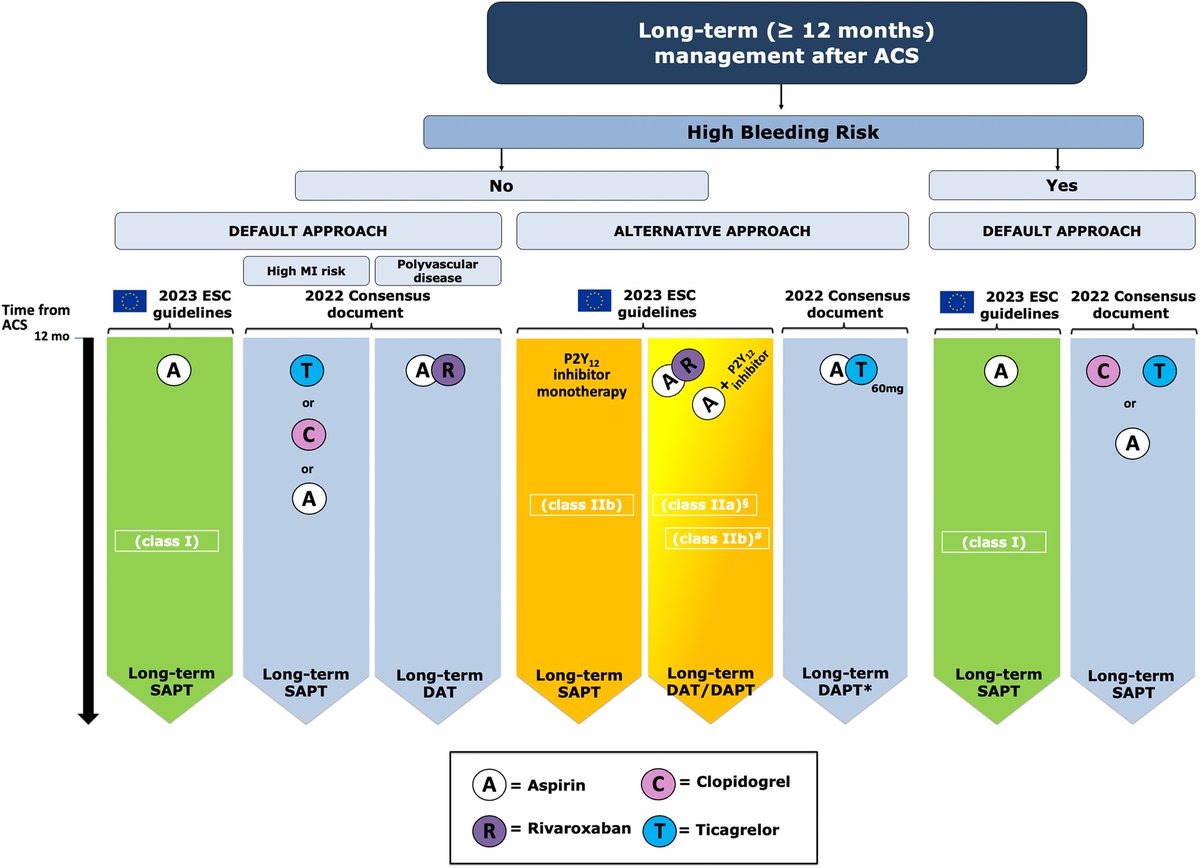 European Expert Consensus vs #ESCGuidelines antitrombotic tx in #ACS 👉 doi.org/10.1093/ehjacc… ➡️ ARC HBR vs PRECISE DAPT score ➡️ guided de-escalation? ➡️ HBR vs NHBR pts ➡️ long term strategy #EHJACVC @EHJACVCEiC @drmilicaa @DFCapodanno @rafavidalperez @umitjasarsinan1