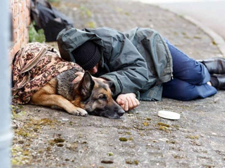 L'hiver est là. Ceux qui protègent les animaux ne se désintéressent pas du sort des hommes. Faisons preuve de compassion pour les sans-abri et leurs compagnons.
@caritasfrance 
@SecoursPop 
@restosducoeur 
@HenryJeanServat 
@courbet_julien 
@Tof_Beaugrand 
@sophie_scarpula