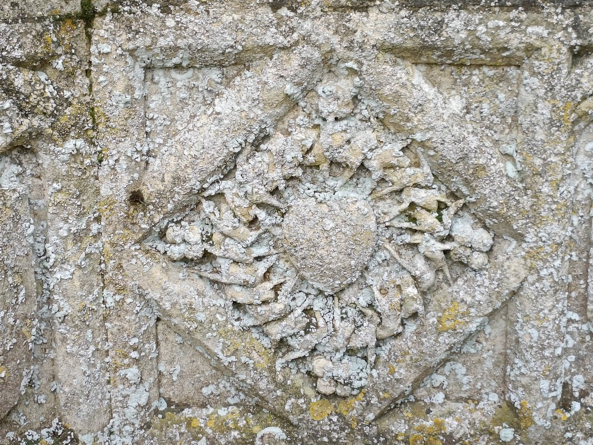 Loved these carvings flanking south porch entrance at Ditchingham church.