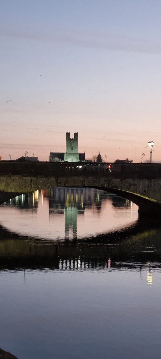 diarmuidpring's tweet photo. Day15 #100daysofwalking
@NewstalkFM #Limerick Absolutely stunning morning in the city to enjoy @WalkThree I am convinced #galwaygirl @themariamchale is become a #limericklady
#RoundTwoCrew 🚶♂️ https://t.co/H9er1vkljN