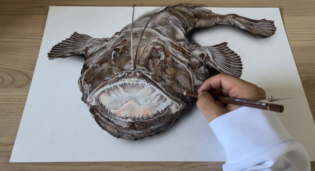 色鉛筆で描いたアンコウ✏️